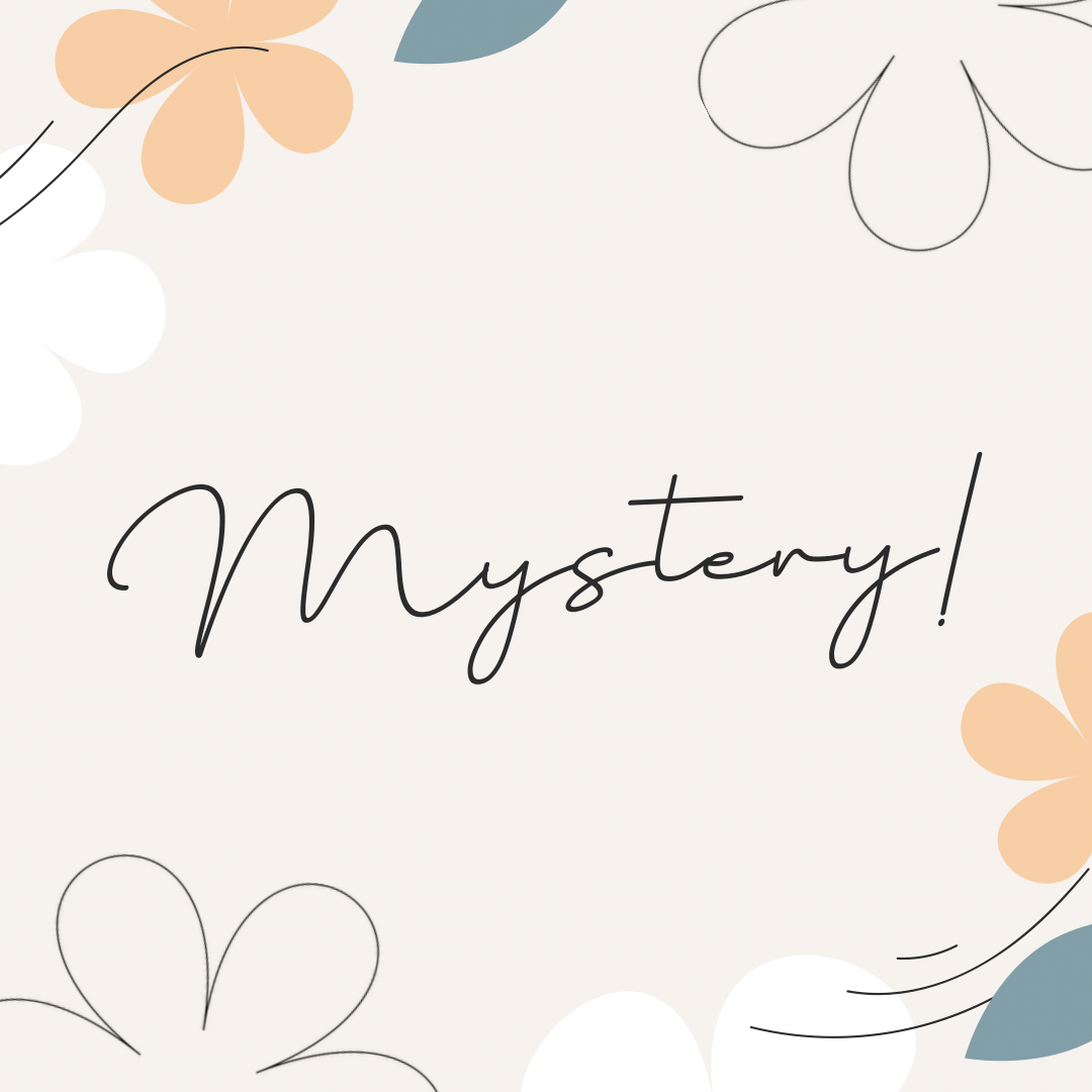 2 mystery outfits